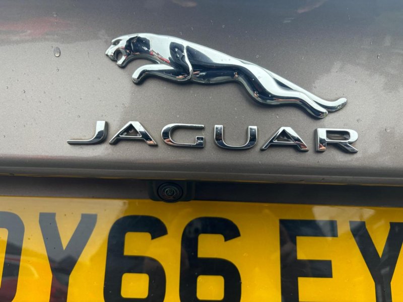 JAGUAR XE